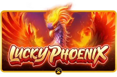 rtp slot Blackjack Dragon Tiger ကတ်ဂိမ်းများ Myanmar ကစားသမားများ MMK ဖြင့် ကစားနေသော မြင်ကွင်း